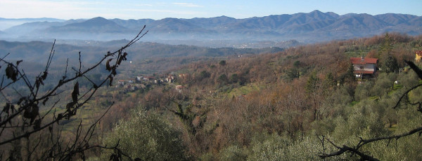 Fivizzano – Ligonchio (Passo della Pradarena)