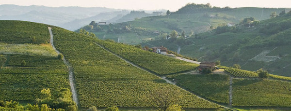 Vesime – Spigno Monferrato