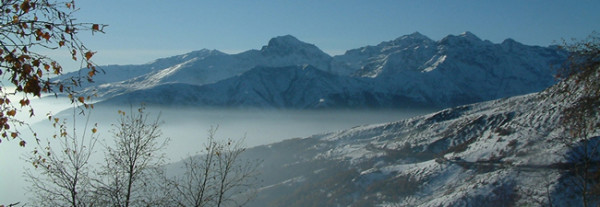 Biella – Oro 4