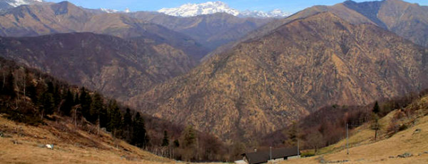 Biella – Oro 3