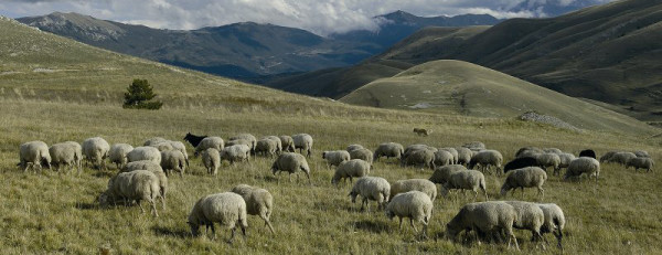 Laquila – Raiano (Valico Di Rocca Di Cambio)