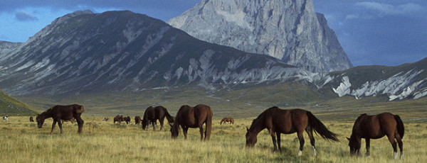 Campo Imperatore – Passo Delle Capannelle