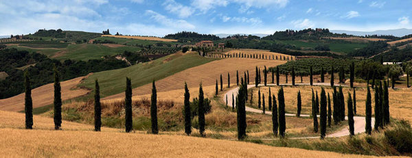 Siena – San Quirico D’Orcia 4 (Le Crete Senesi)