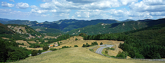 Firenzuola – San Piero a Sieve (Passo del Giogo)