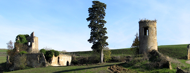 Sant’Andrea di Conza – Rionero in Vulture