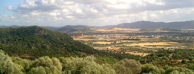 Chia – Santadi 2