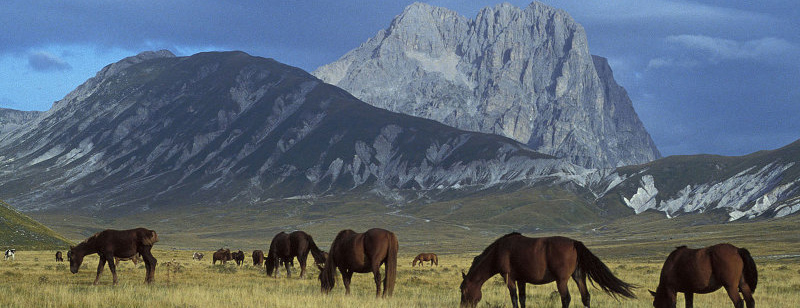 Montereale – Arischia