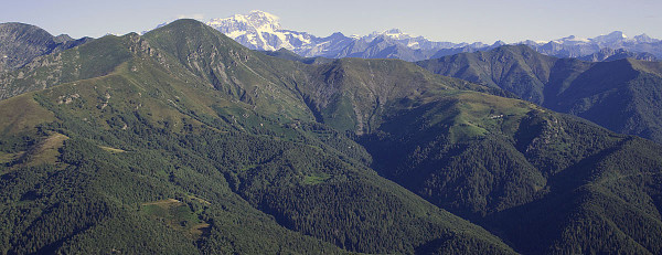 Rosazza – Oro