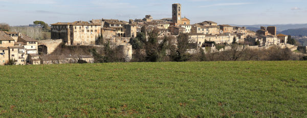 Siena – Boccheggiano 2