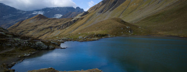 Muster – Reichenau