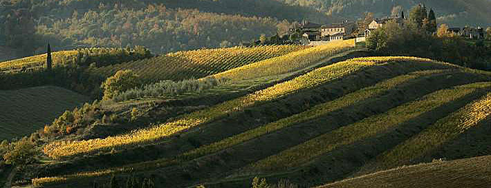 Siena – Castellina in Chianti