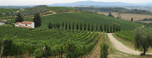 Poggibonsi – Castellina in Chianti 2